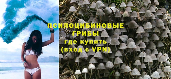 мяу мяу мука Кукмор