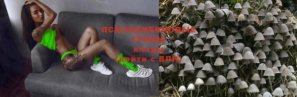 мяу мяу мука Кукмор