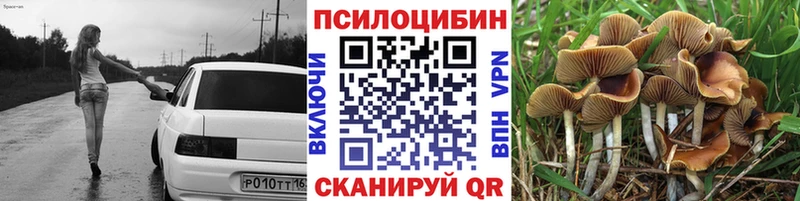 Псилоцибиновые грибы Psilocybine cubensis Мариинский Посад